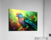 Wild no.78 Acrylic Print