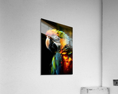 Wild no.80 Acrylic Print