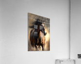 Wild no.88 Acrylic Print