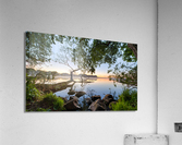 Lake view Acrylic Print