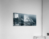 Twin dance Acrylic Print