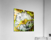 845C6BEA 88D4 4327 A835 48EA6B585340 Acrylic Print