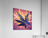 Neon Leaf  Acrylic Print