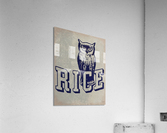 Vintage Rice Owl Mascot Art Acrylic Print