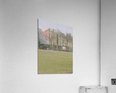 IMG 20220411 132351 Acrylic Print