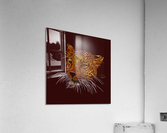 Leopard Abstracto Acrylic Print