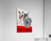 1949 Georgia Football Program Remix Acrylic Print