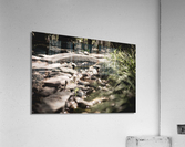 Red Wing Park VA Acrylic Print