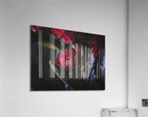 Without the Vase  Acrylic Print