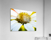 A Bright Spring Acrylic Print