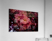 Hanging Bouquet Acrylic Print