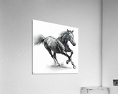 Sexuelle Unsicherheit: Wie man sie uberwindet Acrylic Print
