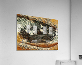 The Eye 2 Acrylic Print