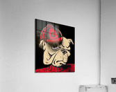 Dawg Close Up Acrylic Print