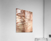 Palmistry 0 Acrylic Print