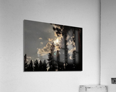 IMG 4387 Acrylic Print