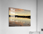 IMG 2273 Acrylic Print