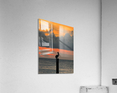 The Lonely Pelican Acrylic Print