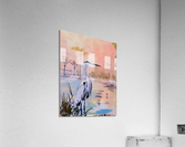 Florida Heron Acrylic Print