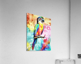 Parrot Acrylic Print