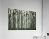 Long Grass In Farm Field Acrylic Print