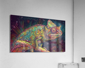 Zen Chameleon Acrylic Print