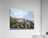 20230607 161605 Acrylic Print