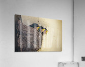 Three baby birds in a nest calling to their mother;Perthshire scotland Acrylic Print