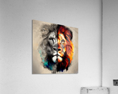 Lion of God Wall Art 2 Acrylic Print