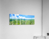 smoky mountains Acrylic Print