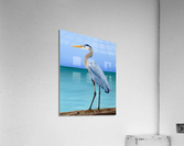  Love Heals Acrylic Print