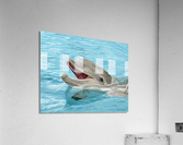 Joy  Acrylic Print