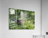 Suisse du Quebec  Acrylic Print