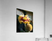 Fleurs decorative Acrylic Print