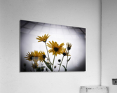 Decorative wall flowers Acrylic Print