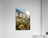 Evening Bliss  Acrylic Print