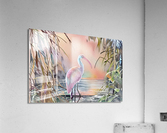 IMG 0074 Acrylic Print