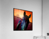 Sunset Horse  Acrylic Print