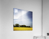 Scania sky Acrylic Print