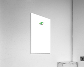 borpavert Acrylic Print