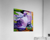 Only Slightly Twisted Acrylic Print