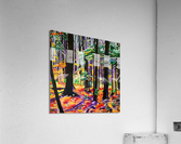 Ontario Woods Acrylic Print