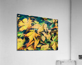  Abstract Autumnal Falls Acer Leaves  Acrylic Print
