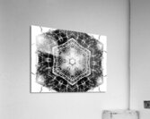 Abstract Black and White Long Grass  Acrylic Print