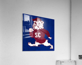 1987 South Carolina State Bulldog Art  Acrylic Print