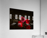 Mini Roses Acrylic Print