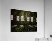 Green Mystery Acrylic Print