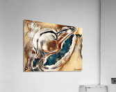 Uncertainty 4 Acrylic Print