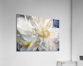 Shades of White Acrylic Print