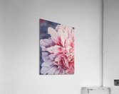 Pretty in pink Acrylic Print